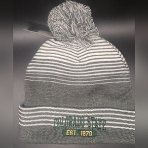 Colorado State Beenie